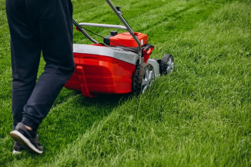 Tonte d’une pelouse avec une tondeuse à gazon